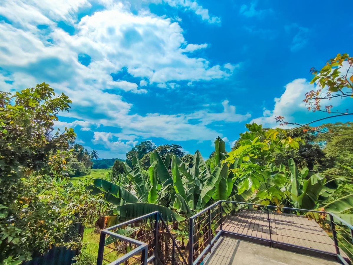 Peacock Village Pinnawala - Offer Alert! Elephant Welfare Program ภายนอก รูปภาพ